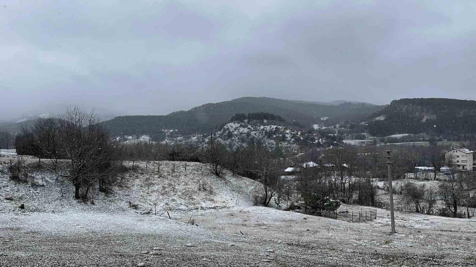 Yapay Zeka Özeti