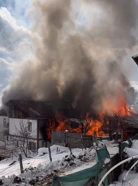 Kastamonu'da Yangın Felaketi: 3 Ev ve 1 Ahır Yok Oldu, 55 Hayvan Zayi Oldu