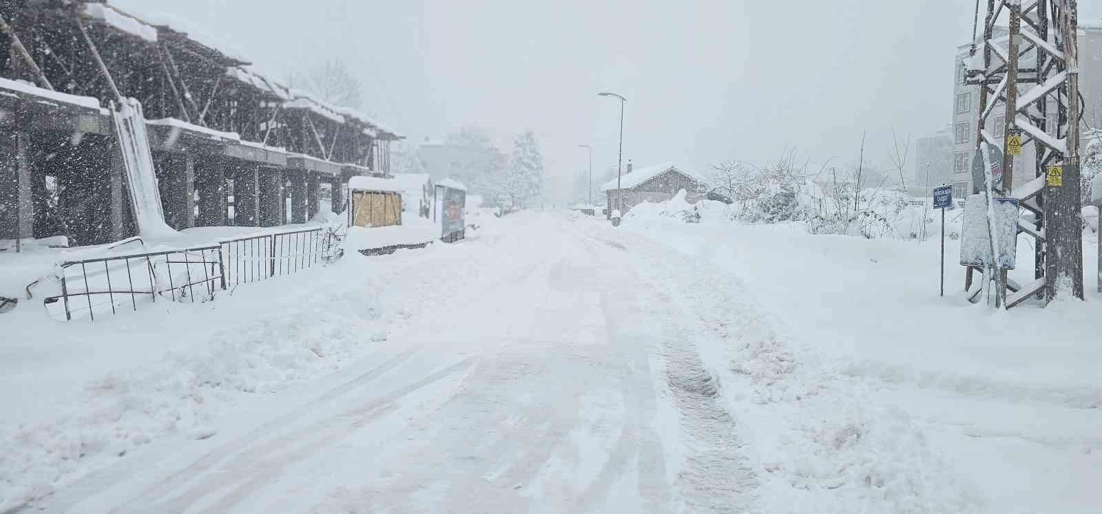 Cide'deki Kar Yağışının Etkileri