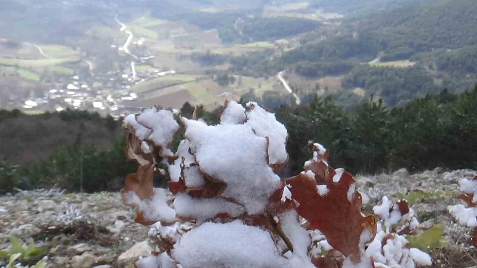 Abant Gölü'nde Baharın Müjdecisi: Çiğdemler