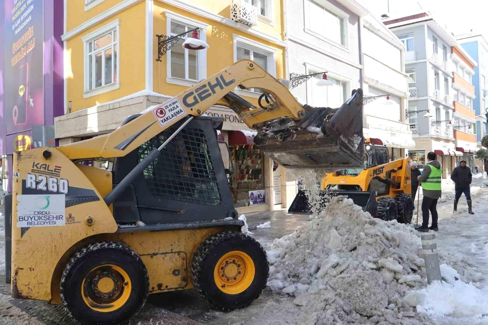 Altınordu'da Kar Temizliği Çalışmaları Başlatıldı