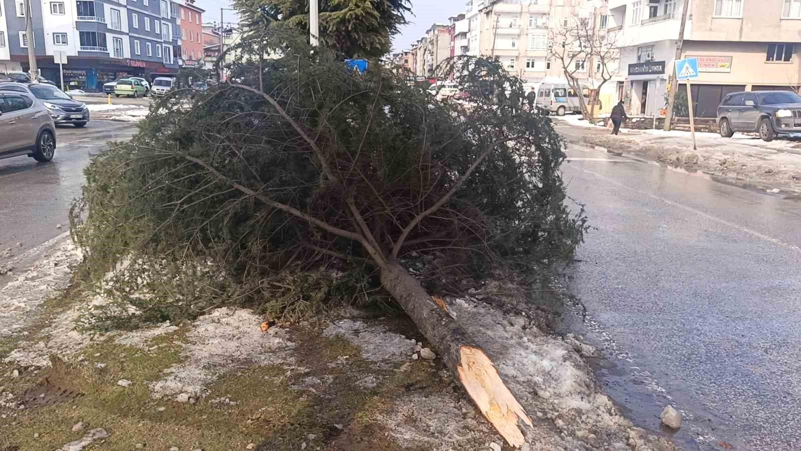 Yapay Zeka Özeti