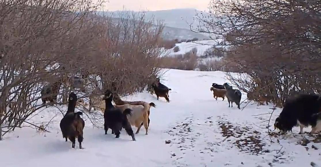 Doğayla İç İçe Olmanın Getirdikleri