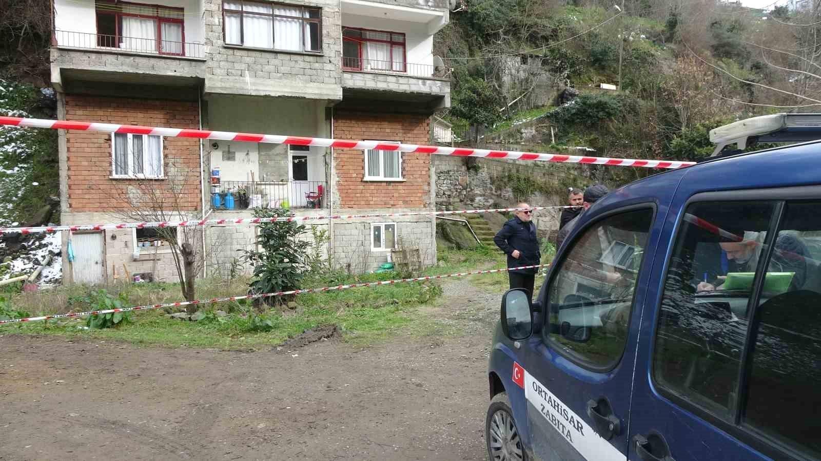 Yapay Zeka Özeti