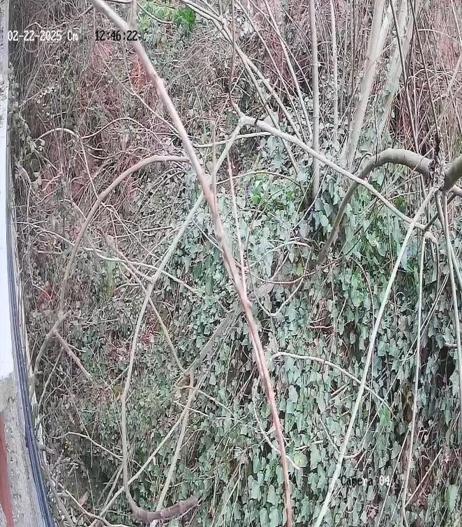 Trabzon'da 5 Katlı Binada Toprak Kayması: 1 Yaralı ve 5 Kişi Tahliye Edildi