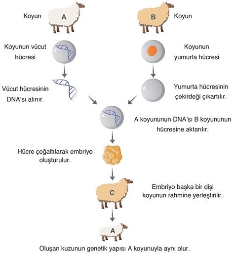 Biyoteknoloji ve Genetik: Sağlıkta ve İnovasyonda Yeni Ufuklar