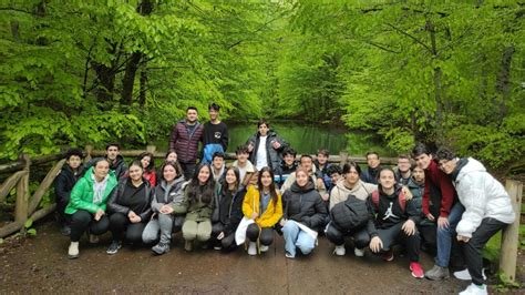 Doğa ve Sanat: Ekolojik Temalı Yaratıcı Projeler