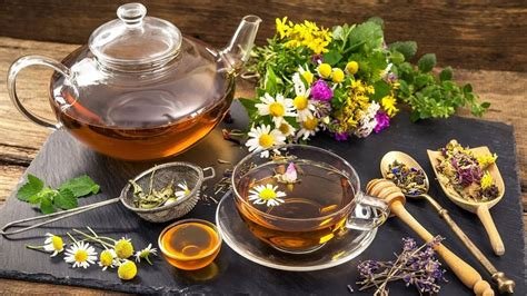 Doğal Enerji Kaynakları: Bitkisel Çaylar ve Detoks İçecekleri
