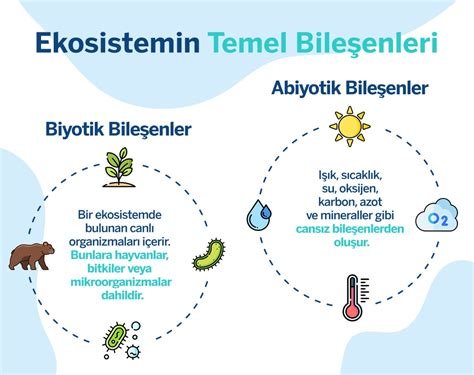 Doğal Yaşamın Sırrı: Ekosistemlerin Korunması ve Önemi
