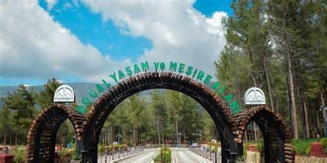 Doğayla İç İçe Yaşam: Şehirde Doğal Deneyimler