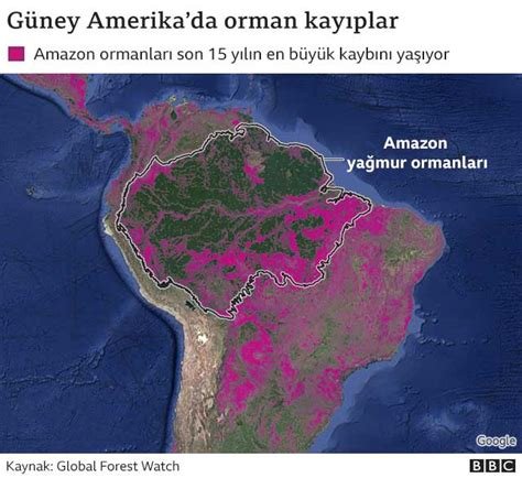 Dünya Ormanları ve İklim Düzenlemesine Katkıları