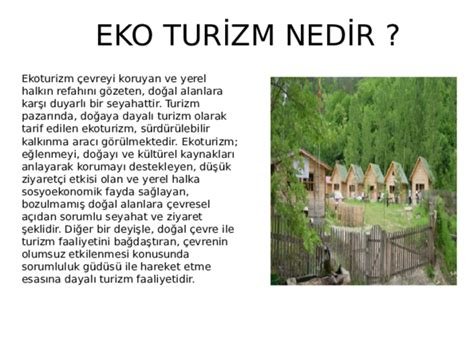 Ekoturizm ve Doğanı Koruma Projeleriyle Seyahat Önerileri