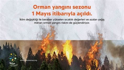 Orman Yangınlarına Karşı Alınabilecek Doğal Önlemler