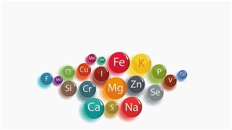 Sağlığınızı Destekleyecek Vitamin ve Mineraller Hakkında Bilmeniz Gerekenler