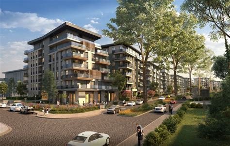 Şehrin Gölgesinden Uzak: Doğal Yaşam ve Sessizlik