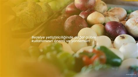 Tarımda Doğal Gübre Kullanımının Çevresel Faydaları