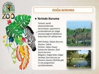 Yaban Hayatı Koruma: Nesli Tükenmekte Olan Türler